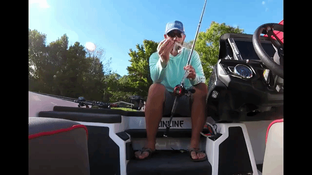Bassmaster Eastern Open Douglas Lake 2018 by Matthew Mattingly