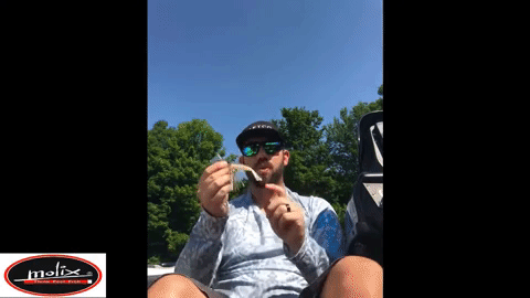 Buzz Bait Soft Plastic by Matthew Mattingly