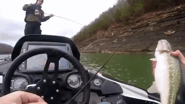 Smallmouth Beatdown on Lake Cumberland by Matthew Mattingly